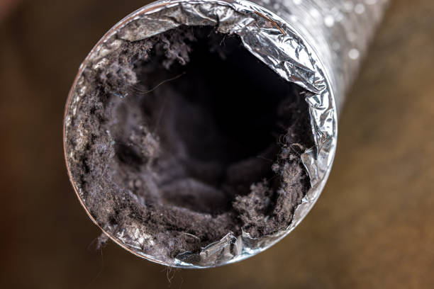 Best HVAC Air Duct Cleaning  in Friars Point, MS